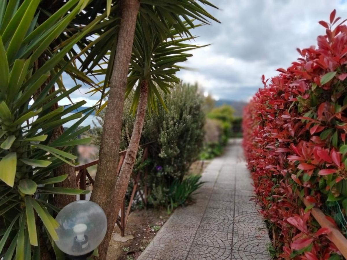 Sguardo Sul Lago Lejlighed Trevignano Romano Eksteriør billede