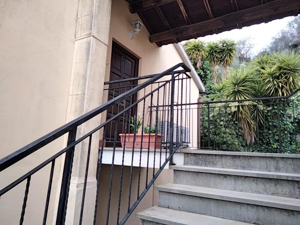 Sguardo Sul Lago Trevignano Romano Eksteriør billede